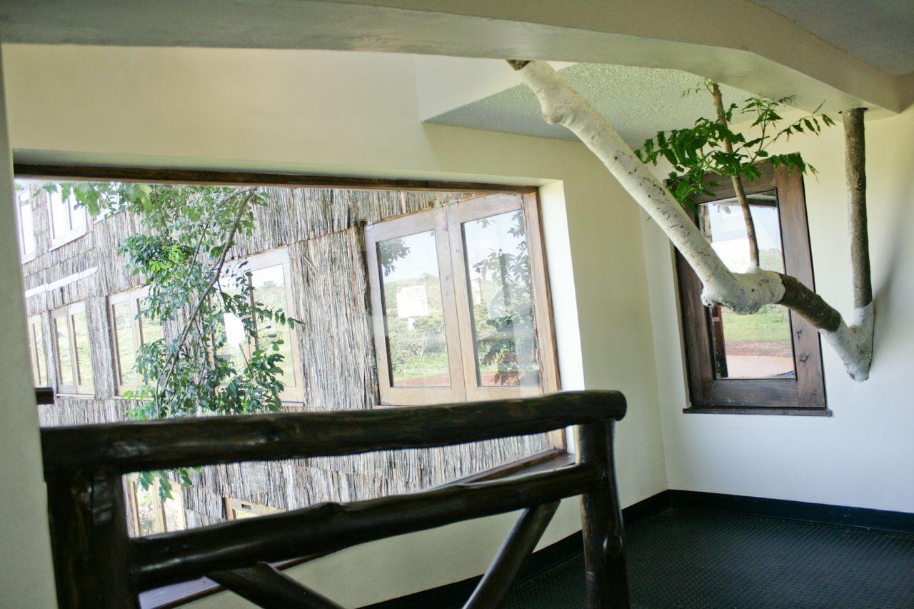 Treetops Mweiga Exterior photo
