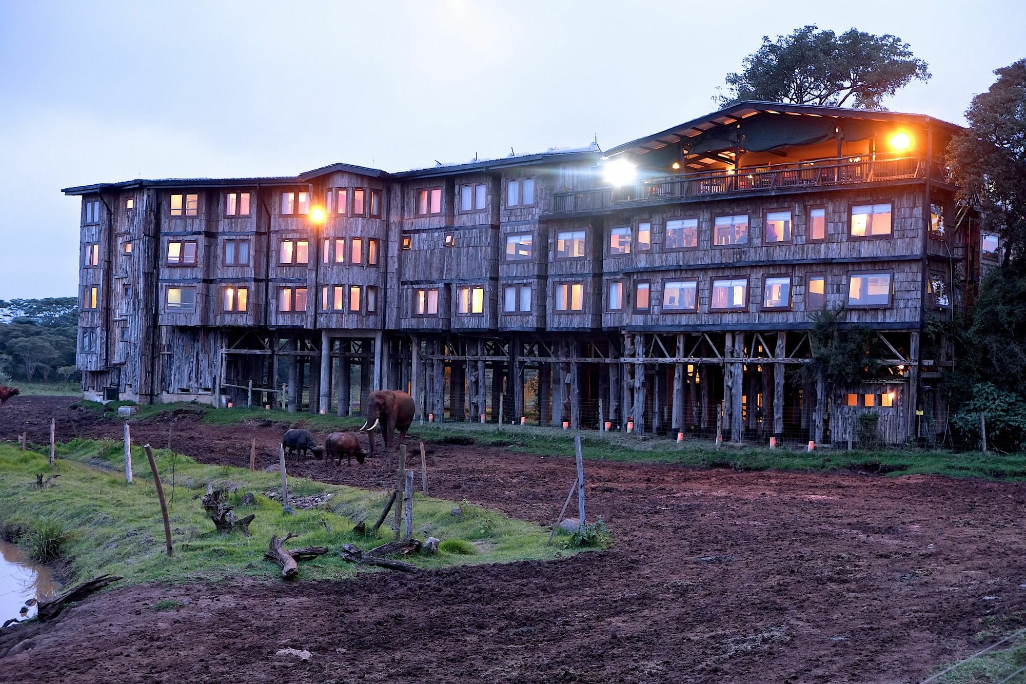 Treetops Mweiga Exterior photo